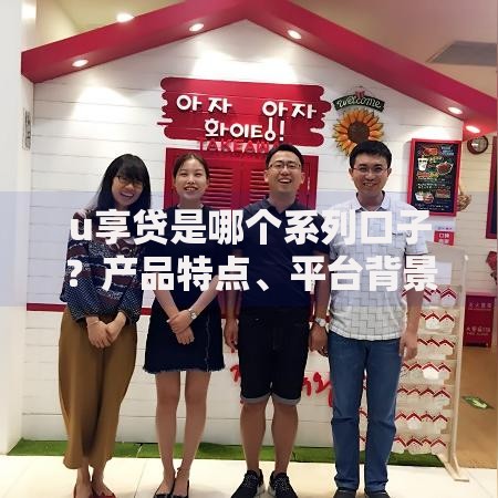 u享贷是哪个系列口子？产品特点、平台背景及申请条件解析