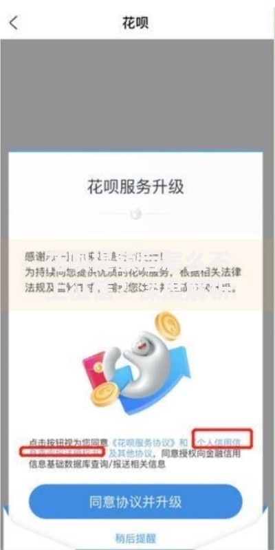 花呗提额后怎么不上征信？深度解析信用管理技巧