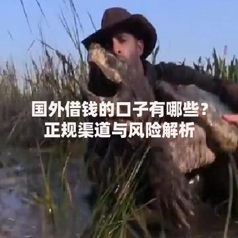 国外借钱的口子有哪些？正规渠道与风险解析