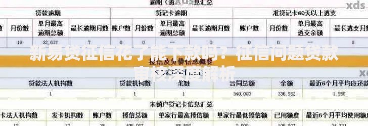 新易贷征信花了能下款吗？征信问题贷款审核深度解析