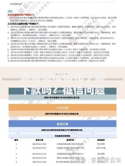 新易贷征信花了能下款吗？征信问题贷款审核深度解析
