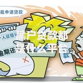 黑户贷款都是什么平台？正规与非正规渠道解析