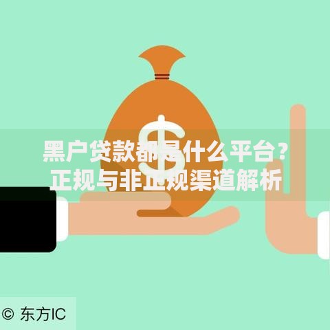 黑户贷款都是什么平台？正规与非正规渠道解析