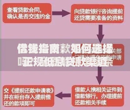 借钱指南：如何选择正规低息贷款渠道