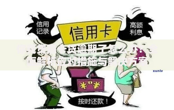 你我贷嘉卡贷逾期了怎么办？全面解析应对措施与解决方案