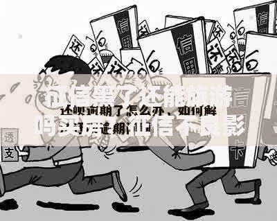征信黑了还能旅游吗买房？征信不良影响解析与应对方案