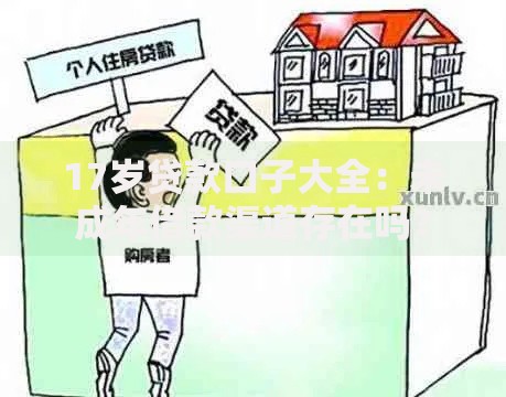 17岁贷款口子大全：未成年借款渠道存在吗？
