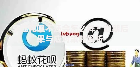 享趣花呗不还会怎么样？逾期后果与应对策略解析