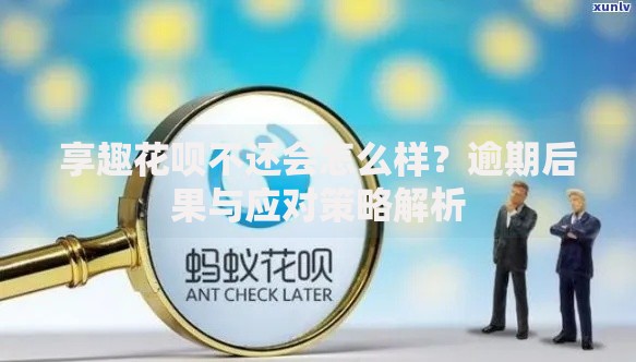 享趣花呗不还会怎么样？逾期后果与应对策略解析