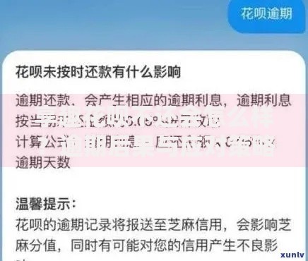 享趣花呗不还会怎么样？逾期后果与应对策略解析