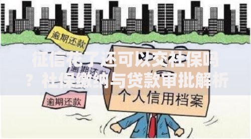 征信花了还可以交社保吗？社保缴纳与贷款审批解析