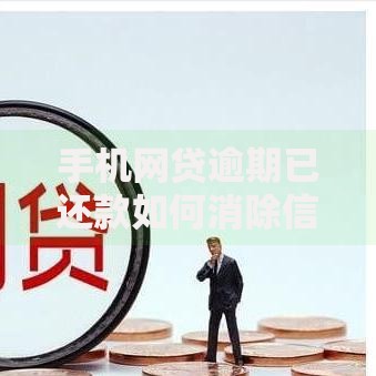 手机网贷逾期已还款如何消除信用影响？全面解析修复方法