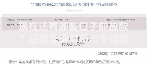 现在还有哪些口子能放款？最新渠道解析与申请攻略