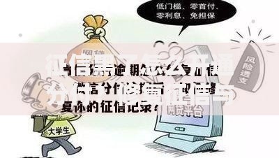 征信黑了怎么开通分付?修复征信与分付开通全攻略 征信黑了怎么开通分付?修复征信与分付开通全攻略