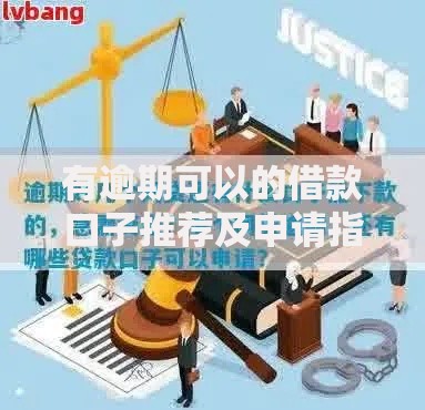 有逾期可以的借款口子推荐及申请指南