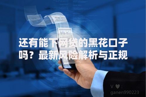 还有能下网贷的黑花口子吗？最新风险解析与正规替代方案