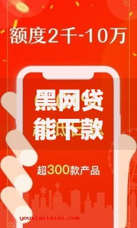 黑网贷能下款的口子？花鸭贷款引热议背后风险解析