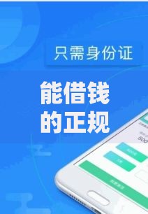 能借钱的正规平台软件如何选择？靠谱推荐与安全解析