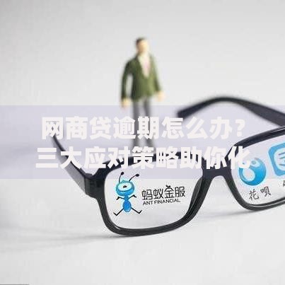 网商贷逾期怎么办？三大应对策略助你化解危机
