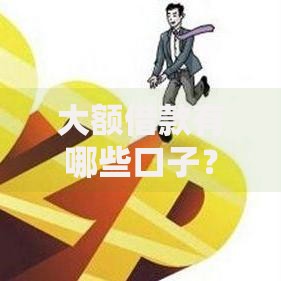 大额借款有哪些口子？权威渠道解析与选择指南