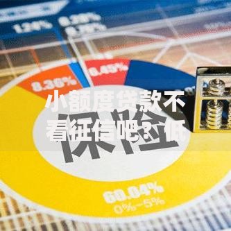 小额度贷款不看征信吧？低门槛快速借款方案解析
