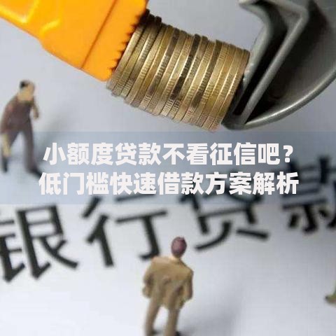 小额度贷款不看征信吧？低门槛快速借款方案解析
