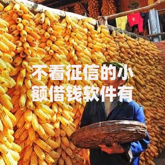 不看征信的小额借钱软件有哪些选择？安全吗？