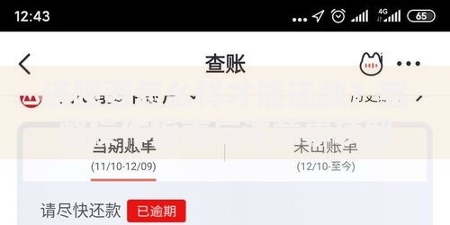 还呗要怎么样才能还款？完整操作指南与注意事项解析