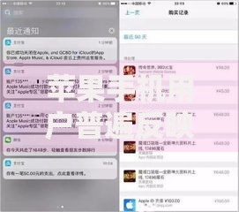 苹果手机用户普遍反映无法登录征信网？如何解决