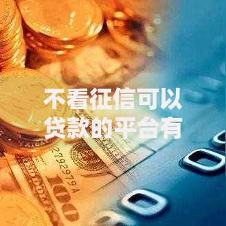 不看征信可以贷款的平台有哪些选择？
