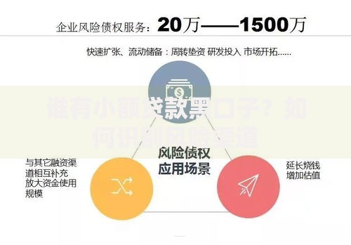 谁有小额贷款黑口子？如何识别风险渠道