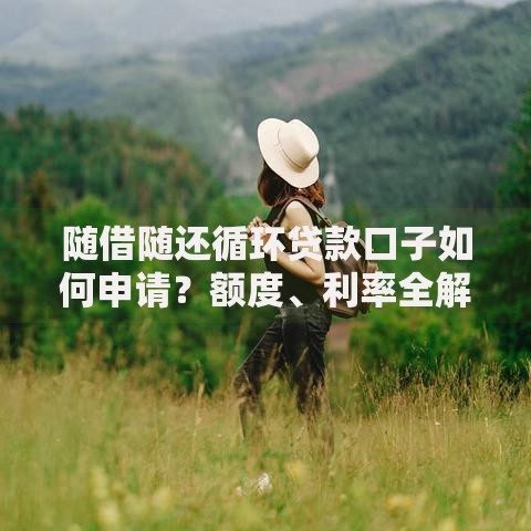 随借随还循环贷款口子如何申请？额度、利率全解析