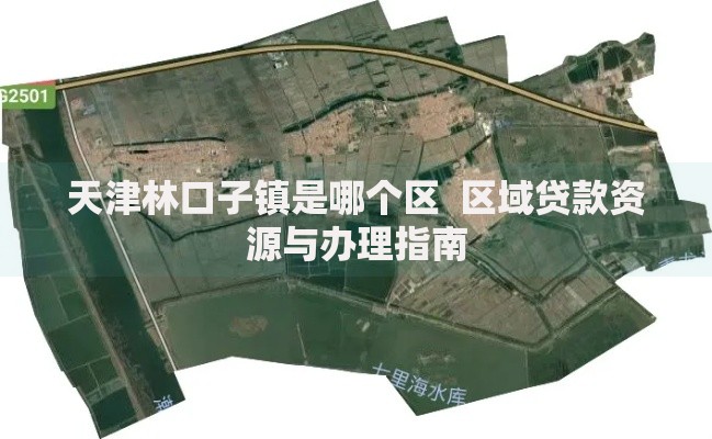 天津林口子镇是哪个区  区域贷款资源与办理指南