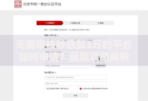 无需审核秒放款3万的平台如何申请？最新攻略解析