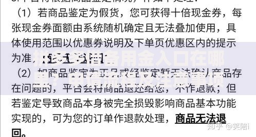 拼多多借备用金入口在哪里？申请流程及注意事项解析