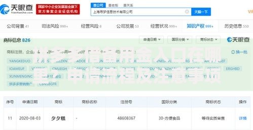 拼多多借备用金入口在哪里？申请流程及注意事项解析