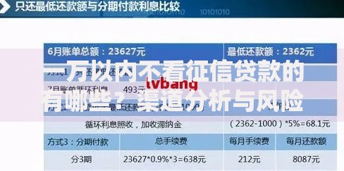 一万以内不看征信贷款的有哪些？渠道分析与风险提示