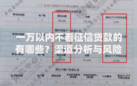 一万以内不看征信贷款的有哪些？渠道分析与风险提示