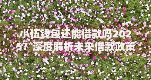 小伍钱包还能借款吗2025？深度解析未来借款政策与用户影响