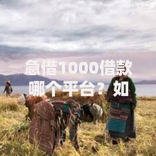 急借1000借款哪个平台？如何选择安全渠道？