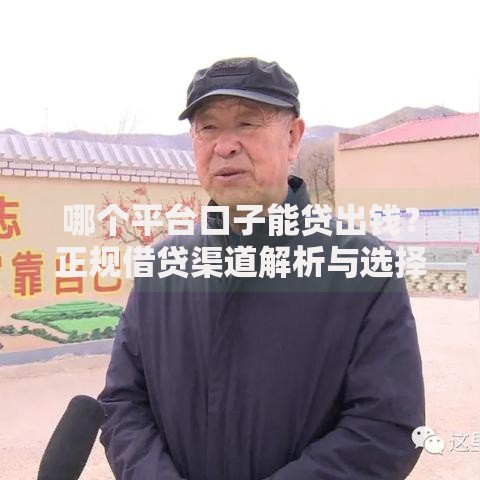哪个平台口子能贷出钱？正规借贷渠道解析与选择建议