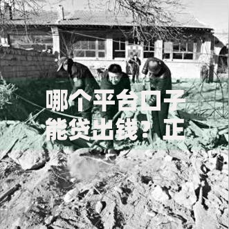 哪个平台口子能贷出钱？正规借贷渠道解析与选择建议