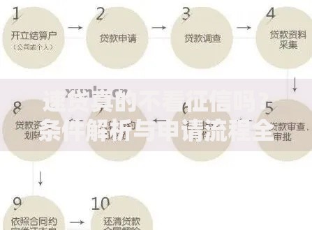速贷真的不看征信吗？条件解析与申请流程全指南