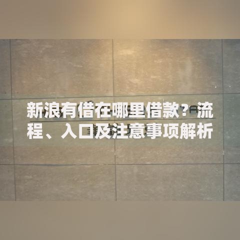 新浪有借在哪里借款？流程、入口及注意事项解析
