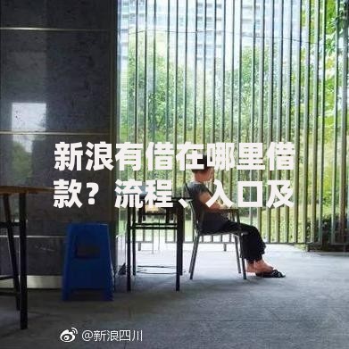 新浪有借在哪里借款？流程、入口及注意事项解析