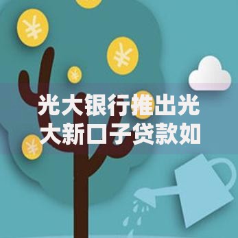 光大银行推出光大新口子贷款如何满足多样化资金需求？