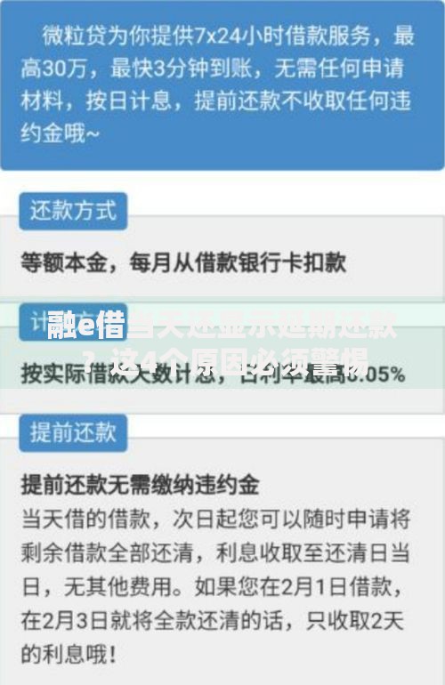 融e借当天还显示延期还款？这4个原因必须警惕