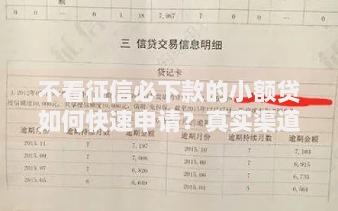 不看征信必下款的小额贷如何快速申请？真实渠道解析