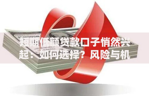 短期低额贷款口子悄然兴起：如何选择？风险与机遇全解析！