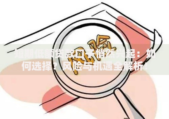 短期低额贷款口子悄然兴起：如何选择？风险与机遇全解析！